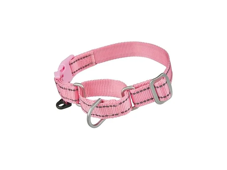 Reflective Martingale Collar for Dogs with Q