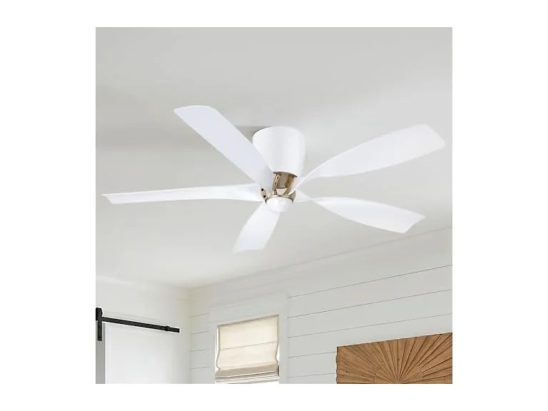 Parrot Uncle 52 Inch Ceiling Fan Modern without Light