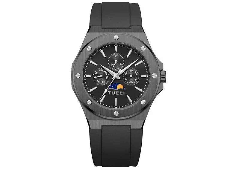 PRECISIONE / WATCH /SILVER STAINLESS STEEL
