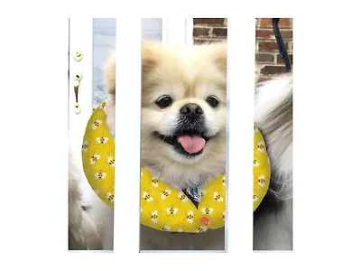 Puppy Bumpers Honey Bee - Made in USA