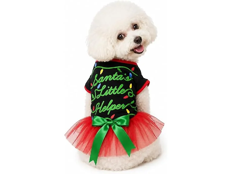 Petitebella Christmas Theme Puppy Dog Dress