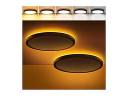 Brightever KN0001 Ceiling Lamp BK 12in 2P