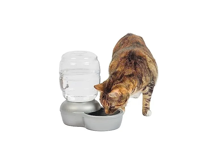 Petmate Replendish Automatic Gravity Waterer