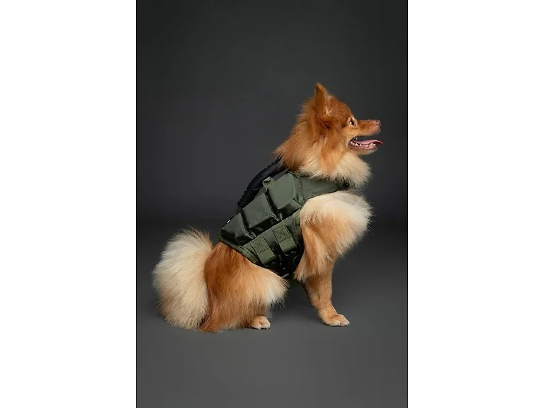 NOAH & PAW Dog Life Jacket- Medium