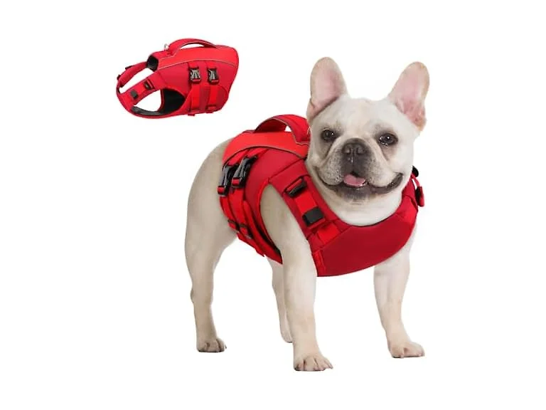 Queenmore XS Dog Life Jacket,Reflective Smal