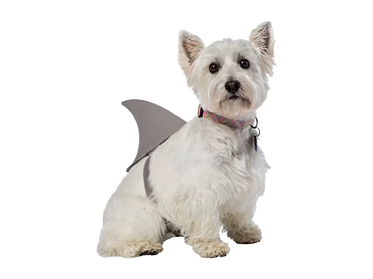 Rasta Imposta Shark Fin Dog Costume, X-Large