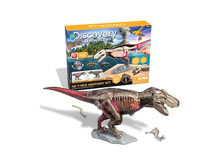 Discovery™ 4D T-Rex Anatomy Kit