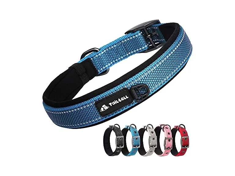 Sturdy Dog Collar for Small Medium Large Dog