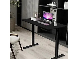 RISE UP ESSENTIAL affordable electric standing desk adjustable height