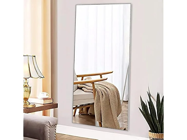 NeuType 47"x22" Full Length Mirror