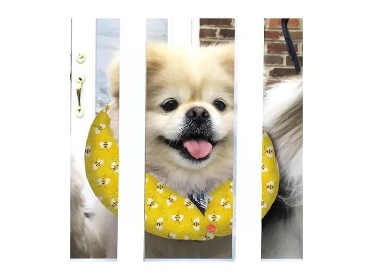 Puppy Bumpers Honey Bee - Made in USA