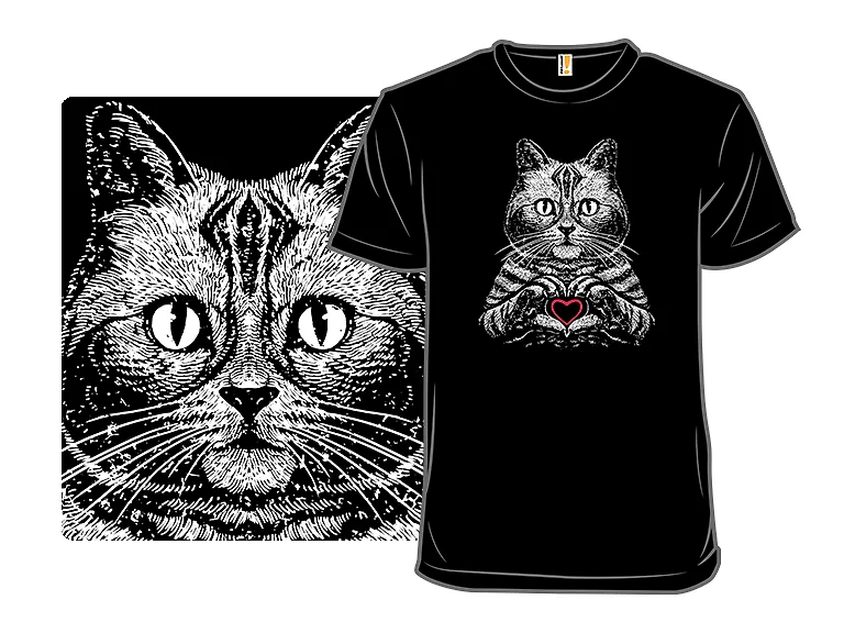 American Shorthair True Affection