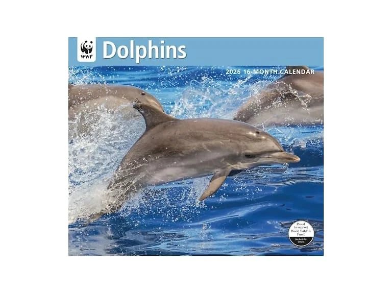 Carousel Calendars, Dolphins WWF 2026 W
