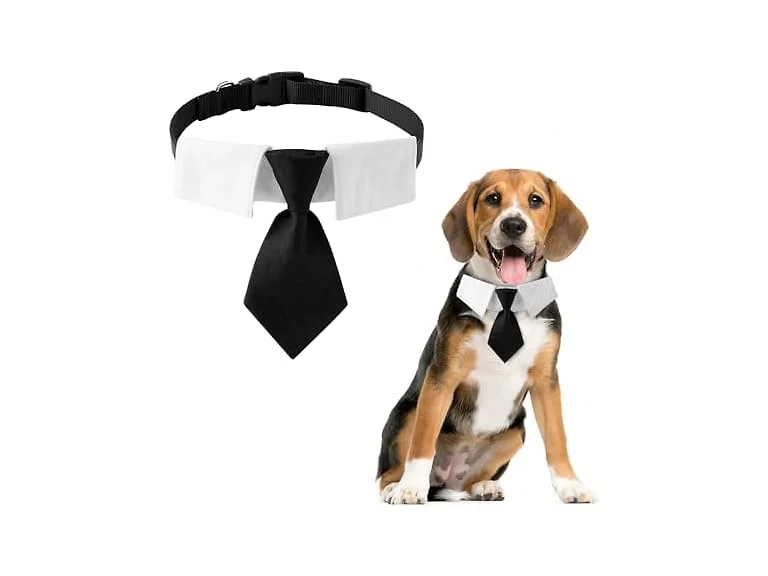 Adjustable Boy Dog Collar,Sturdy Pet Tie for