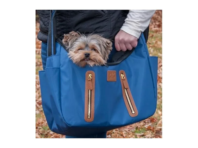 Pet Gear Carrier and Car Seat, Caribbean Blue